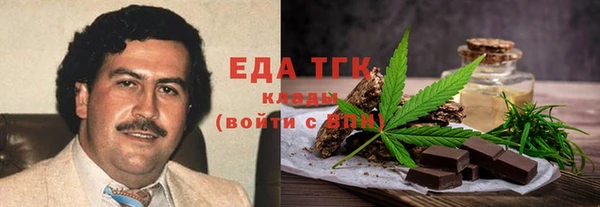 индика Алзамай