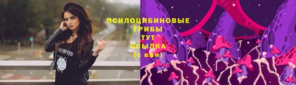 индика Алзамай