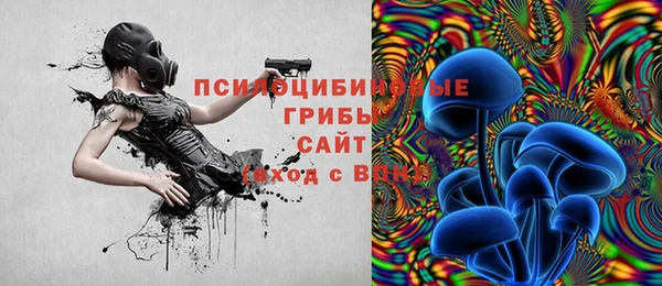тгк Надым