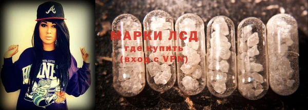 индика Алзамай