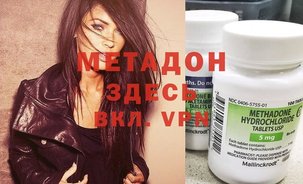 индика Алзамай