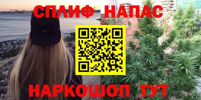 соль ск Пугачёв